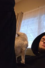 Zdjęcie użytkownika C0nrad