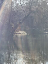 Fotka uživatele Przystojny94