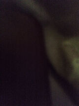 Zdjęcie użytkownika marcinkotlenga879