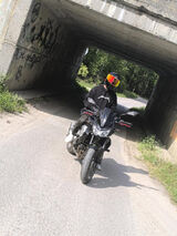 Zdjęcie użytkownika Gustawmoto