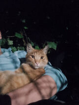 Фотография пользователя przemeksx