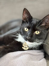 Zdjęcie użytkownika Caaz12