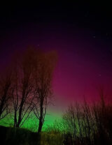 Фотография пользователя Agregator