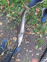 Zdjęcie użytkownika Maciekmarcin