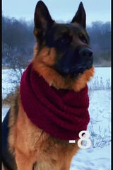 Fotka uživatele ortelladocarmelo74