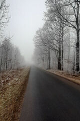 Photos martynlukasz851985