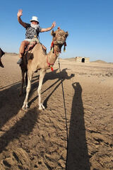 Фотография пользователя MarekLew1972