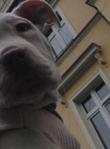 Benutzerfoto marcinchilli