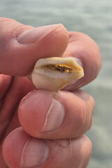 Zdjęcie użytkownika gosiagut4