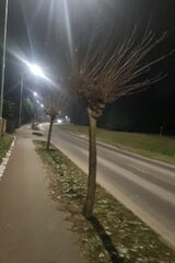 Фото користувача cacpa