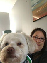 Фотография пользователя giftyisla699