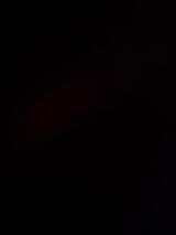 Фотография пользователя EskobarPL