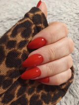 Zdjęcie użytkownika megan44