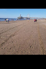 Foto pengguna zpawel1985