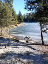 Benutzerfoto miroslawrarata598