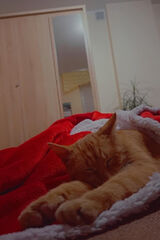 Benutzerfoto patryk3217937