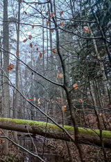 Benutzerfoto Sebastral