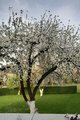 Foto pengguna eugeniuszkata57