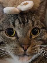 Zdjęcie użytkownika Bartaero