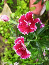 Fotka uživatele antonijan1980