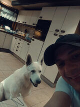 Fotka uživatele paszkokacper87