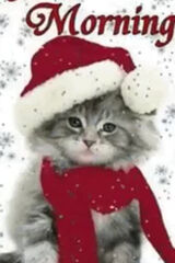 Zdjęcie użytkownika sm2231744