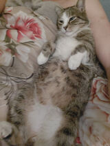 Fotka uživatele Iro24