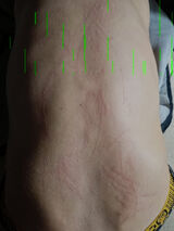 Фото користувача kswiatkowski157