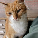 Фото користувача dtomasz9351980