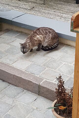 Фотография пользователя noham75