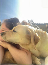 Zdjęcie użytkownika darxapotxa