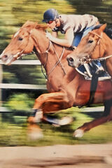 Photos LukaszAndrejuk