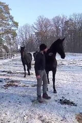 Fotka uživatele bronas957