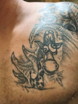 Benutzerfoto kamienz