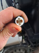 Benutzerfoto kamil0819