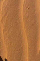 Foto pengguna Mohamedsl