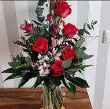 Foto utilizatorului ai68715441971