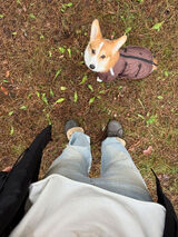 Benutzerfoto dariasie