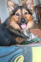 Фото користувача adamt347