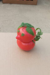 Benutzerfoto klahanlee88