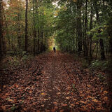 Zdjęcie użytkownika nnexster