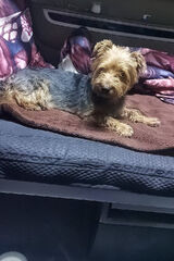 Zdjęcie użytkownika janekbielicki