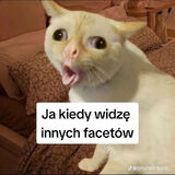 Benutzerfoto Dorka8887