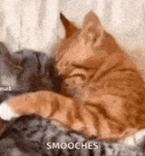 Foto utilizatorului januszcudak99