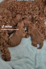 Фотография пользователя Wojcieszak