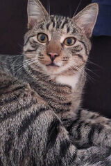 Fotka uživatele wojtekchudek99