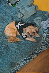 Photos szymonszymon222