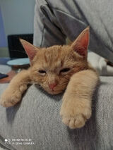 Zdjęcie użytkownika b0nuusek