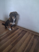 Benutzerfoto mozejaona2001