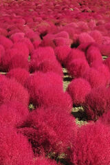 Benutzerfoto pm200719871987